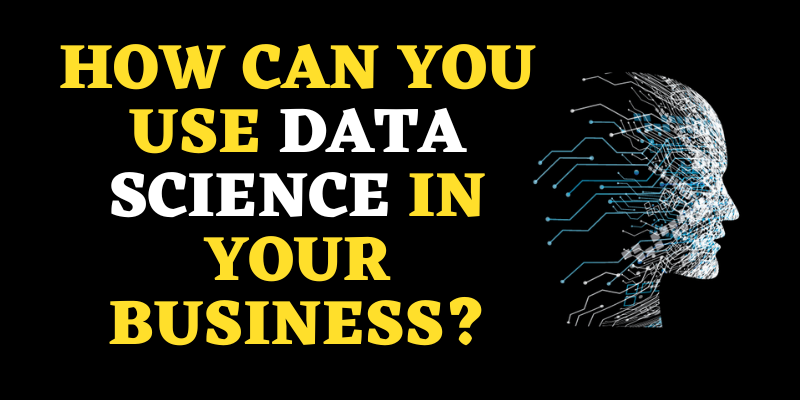 How Can You Use Data Science In Your Business?