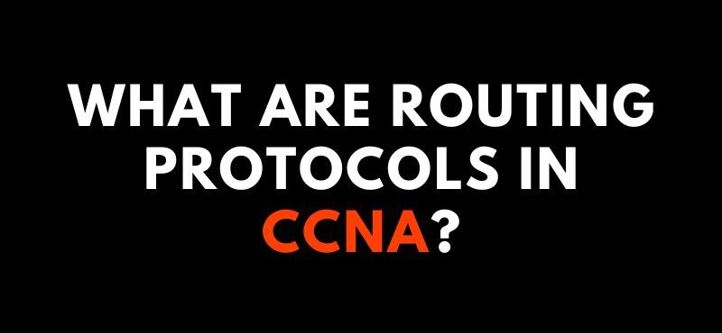 What are Routing Protocols in CCNA?
