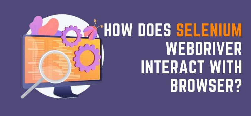 How does Selenium WebDriver Interact with Browser?