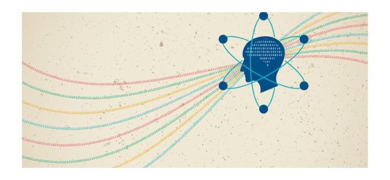 What is The Role Of Vector In Data Science