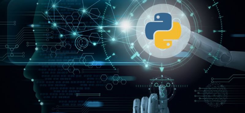 What Are the Best Python Libraries for Data Science?